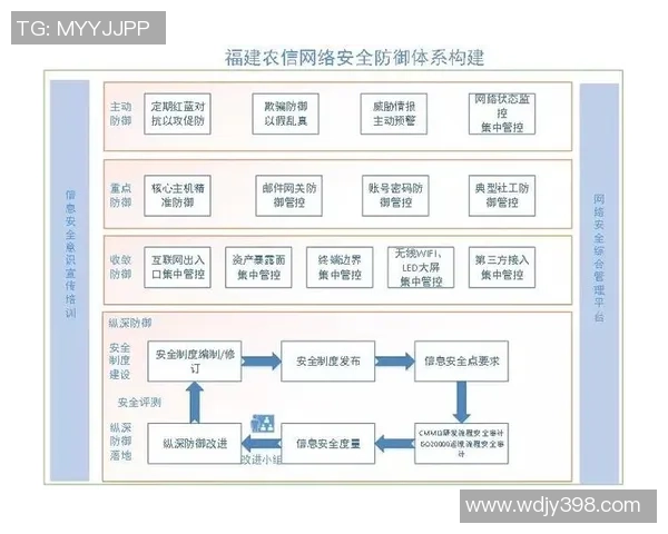 深圳羽毛球队防守体系解析与战术应用探讨