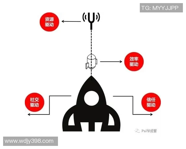 深圳排球队运营分析：成功经验与教训的深度探讨